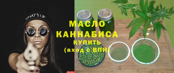 молекула духа Бородино